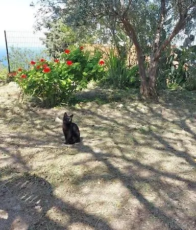 Girne, Lapta'da Deniz Ve Dag Manzarali Kyrenia (Northern Cyprus)