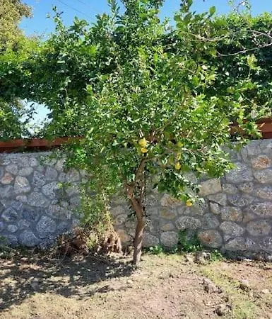 Villa Girne, Lapta'da Deniz Ve Dag Manzarali *